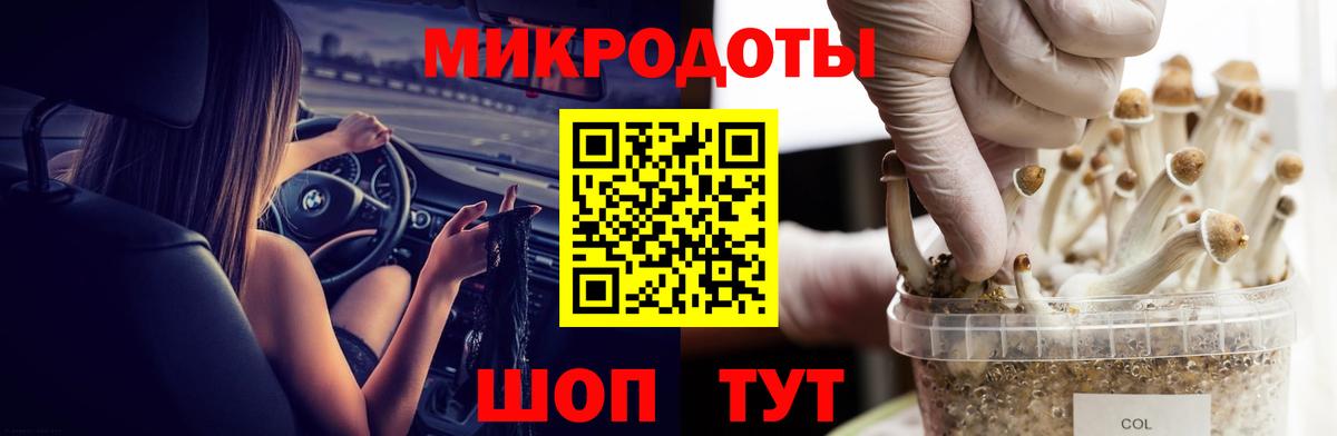 Магадан  купить   Галлюциногенные грибы ЛСД  Вход с VPN  Галлюциногенные грибы Cubensis 